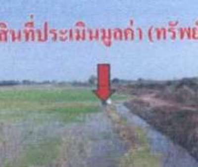 ที่ดิน43-0-46ไร่ ต.สาลี อ.บางปลาม้า จ.สุพรรณบุรี