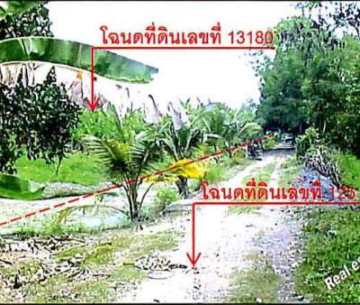 ที่ดินเปล่า 10-0-77ไร่ ต.บึงบอนใต้(คลอง9ตก) อ.หนองเสือ จ.ปทุมธานี 0