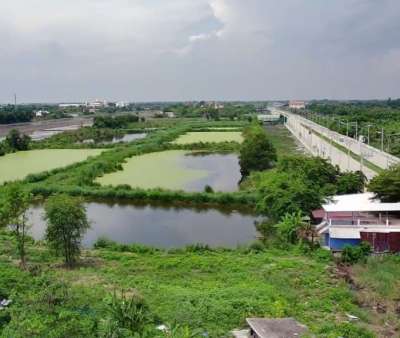 ขายที่ดิน 46-1-29ไร่ ซอยไมตรีจิต9 ถ.ไมตรีจิต คลองสามวา มีนบุรี กรุงเทพ