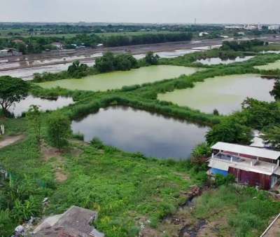 ขายที่ดิน 46-1-29ไร่ ซอยไมตรีจิต9 ถ.ไมตรีจิต คลองสามวา มีนบุรี กรุงเทพ