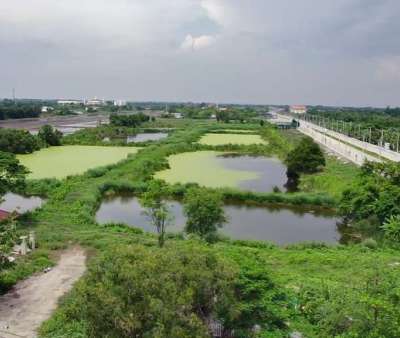 ขายที่ดิน 46-1-29ไร่ ซอยไมตรีจิต 9 ถ.ไมตรีจิต คลองสามวา มีนบุรี กรุงเทพ